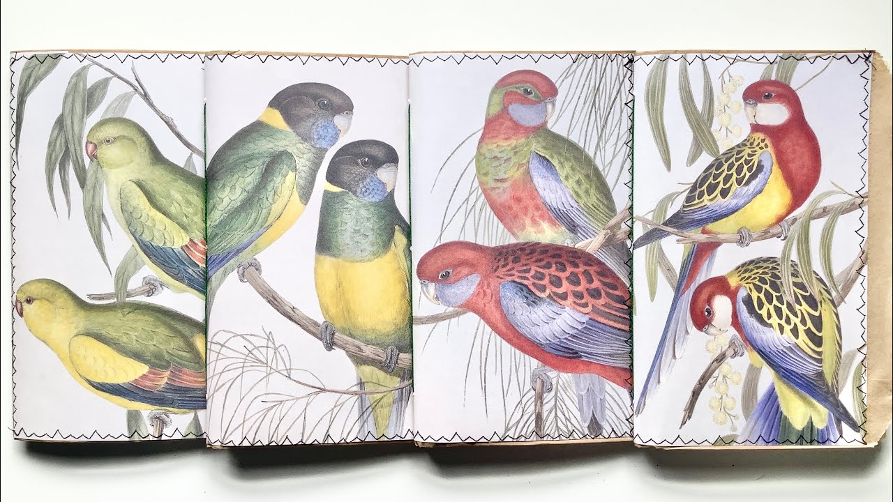Birdsong journals