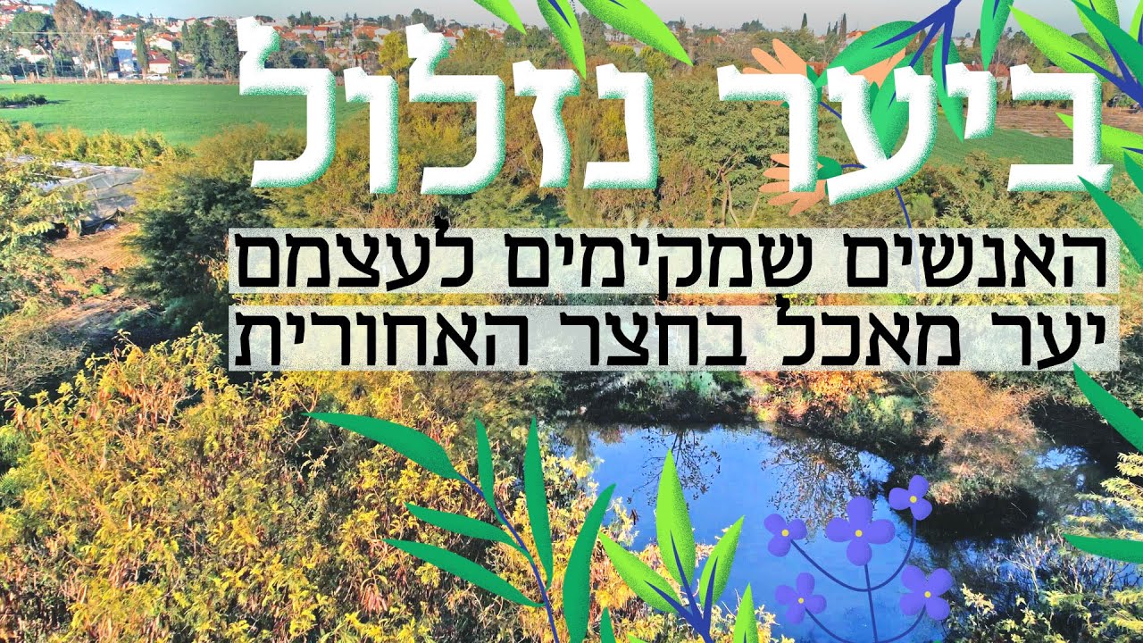 יער עשיר: האנשים שמקימים יער פרטי בחצר האחורית