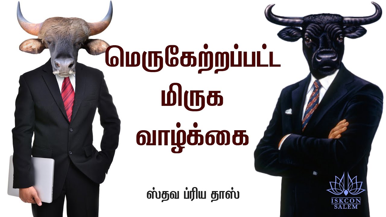 மெருகேற்றப்பட்ட மிருக வாழ்க்கை