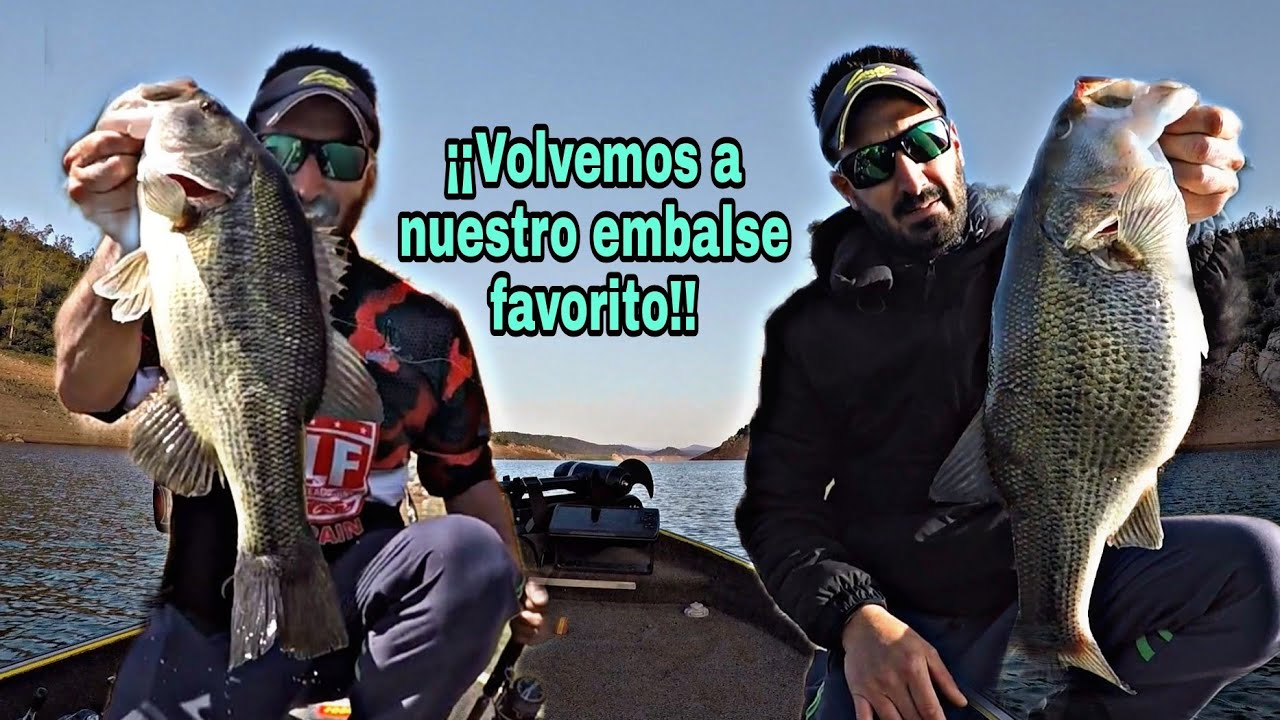 #Pesca #Black bass en #Primavera en #Cijara ¡¡SUSCRIBETE!!🛎
