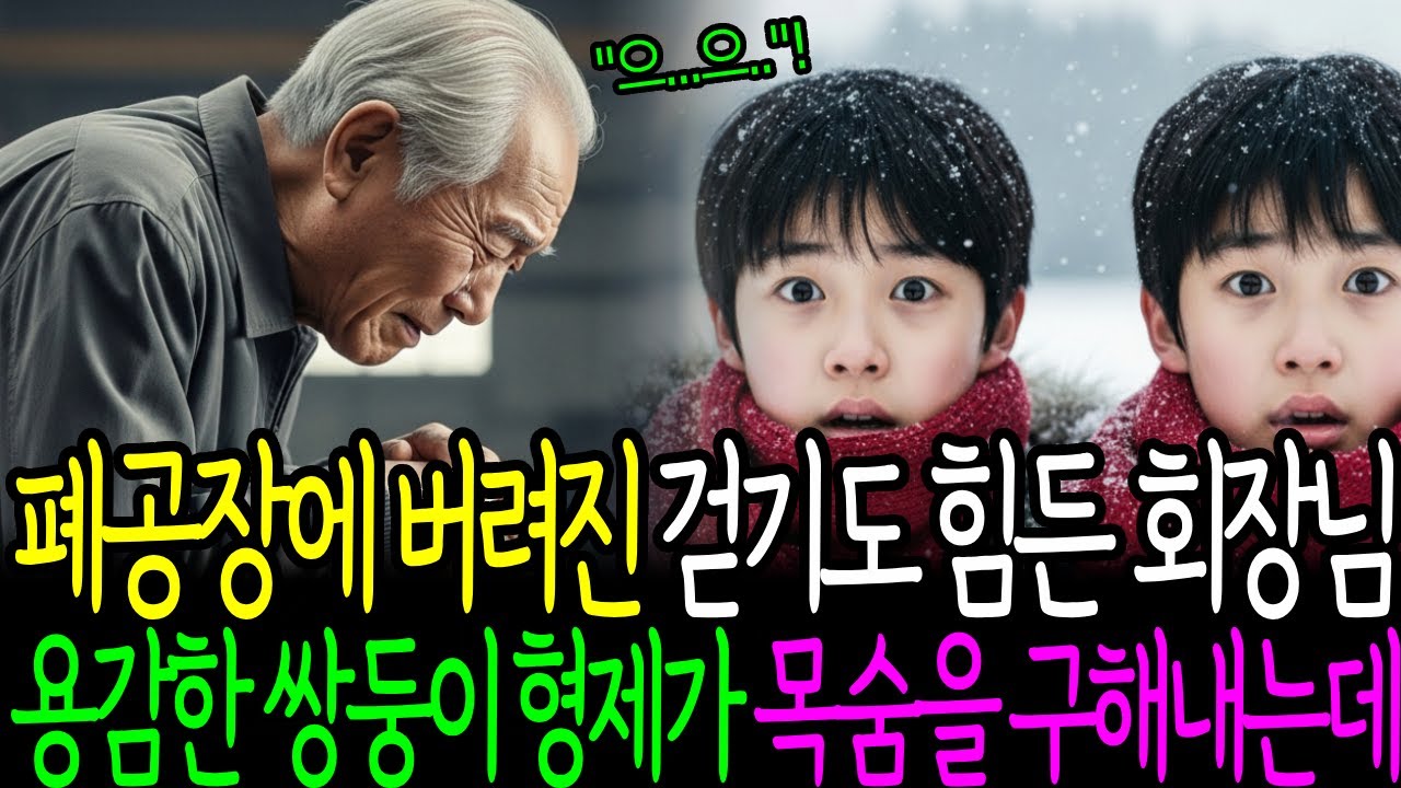 폐공장에 버려진 걷기도 힘든 회장님, 용감한 쌍둥이 형제가 목숨을 구해내는데...ㅣ시니어북ㅣ 인생사연 ㅣ 감동사연 ㅣ 노후사연 ㅣ