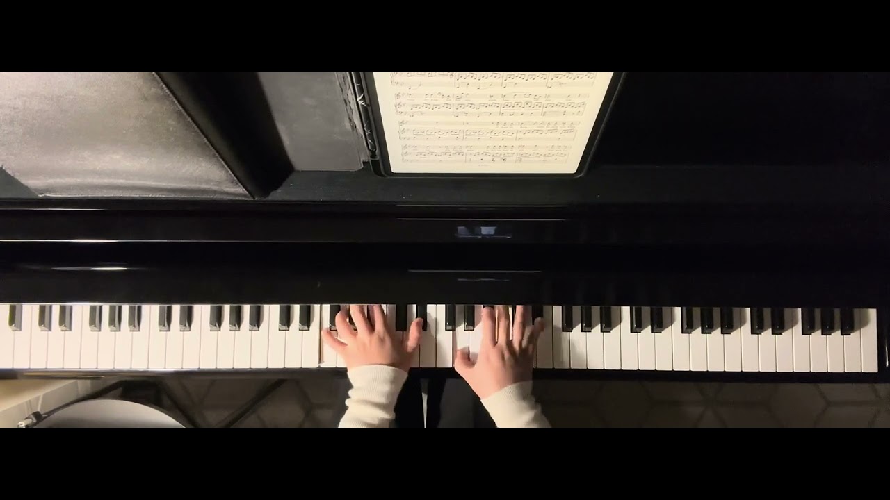[독일가곡] F. Schubert - Heimliches Lieben in B♭ (피아노반주 • piano accompaniment)