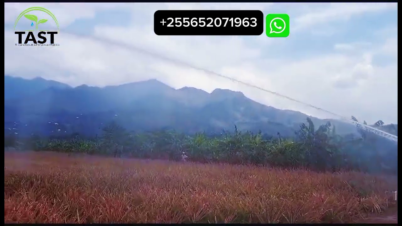 YUZUAK IRRIFORCE MICO TD 2000-300