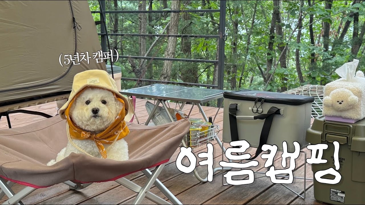 털 많은 강아지와 여름캠핑(설치 쉬운 텐트, 불 안 쓰고 만드는 캠핑요리)