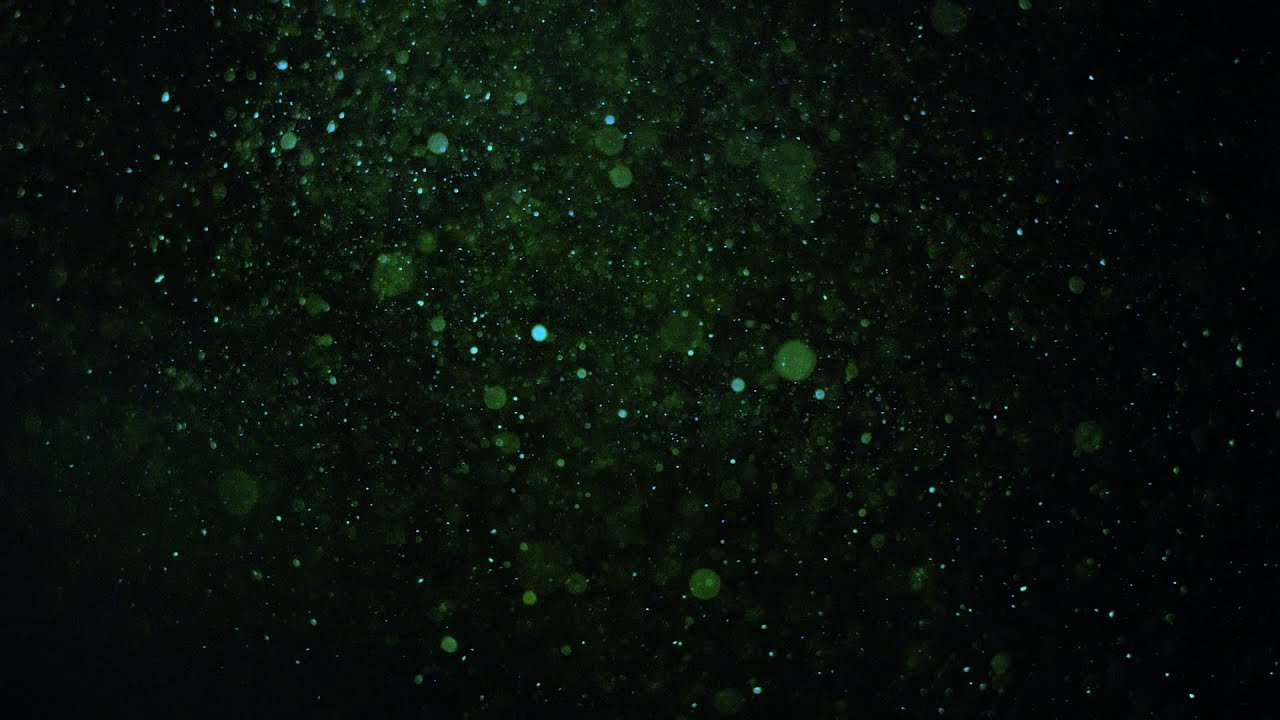 NEW colourful particles overlay smooth dust relaxing video effect 02