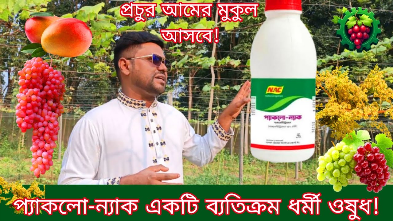 প্যাকলো-ন্যাক কেন একটি ব্যতিক্রম ধর্মী ওষুধ! 