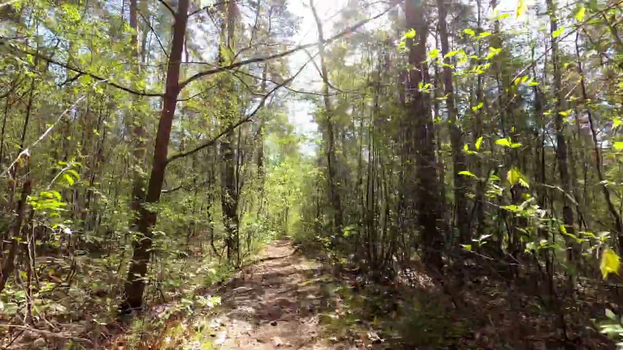 Maasmechelen-Lanaken MTB groene lus 3 mei 2023