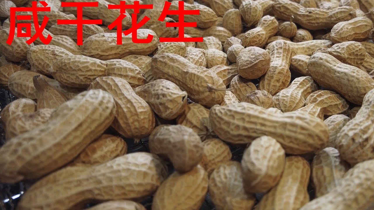 烤箱版咸干花生 Dried salted peanut using oven － 咸香脆口，带着花生的清甜