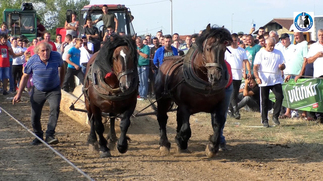 ZIS u BIJELJINI dva puta vicešampion srednje i teške