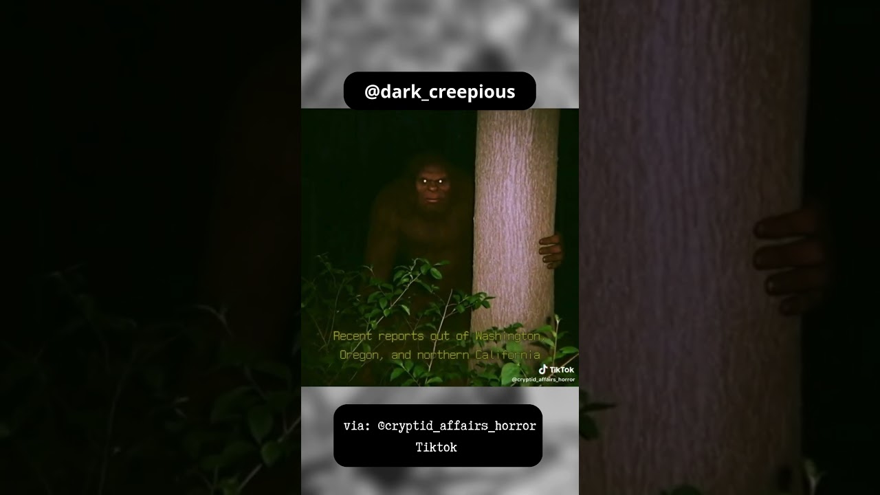 📍 Bigfoot: Real or Myth? 🐾