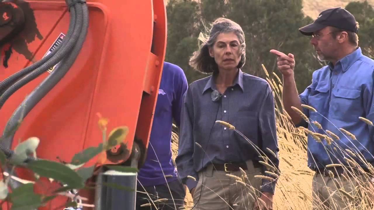 Erosion control case study of a creek, Yankalilla