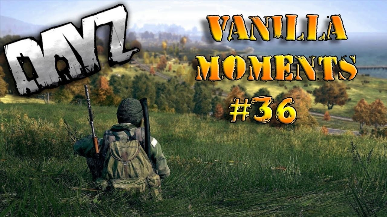 DayZ - Vanilla moments #36