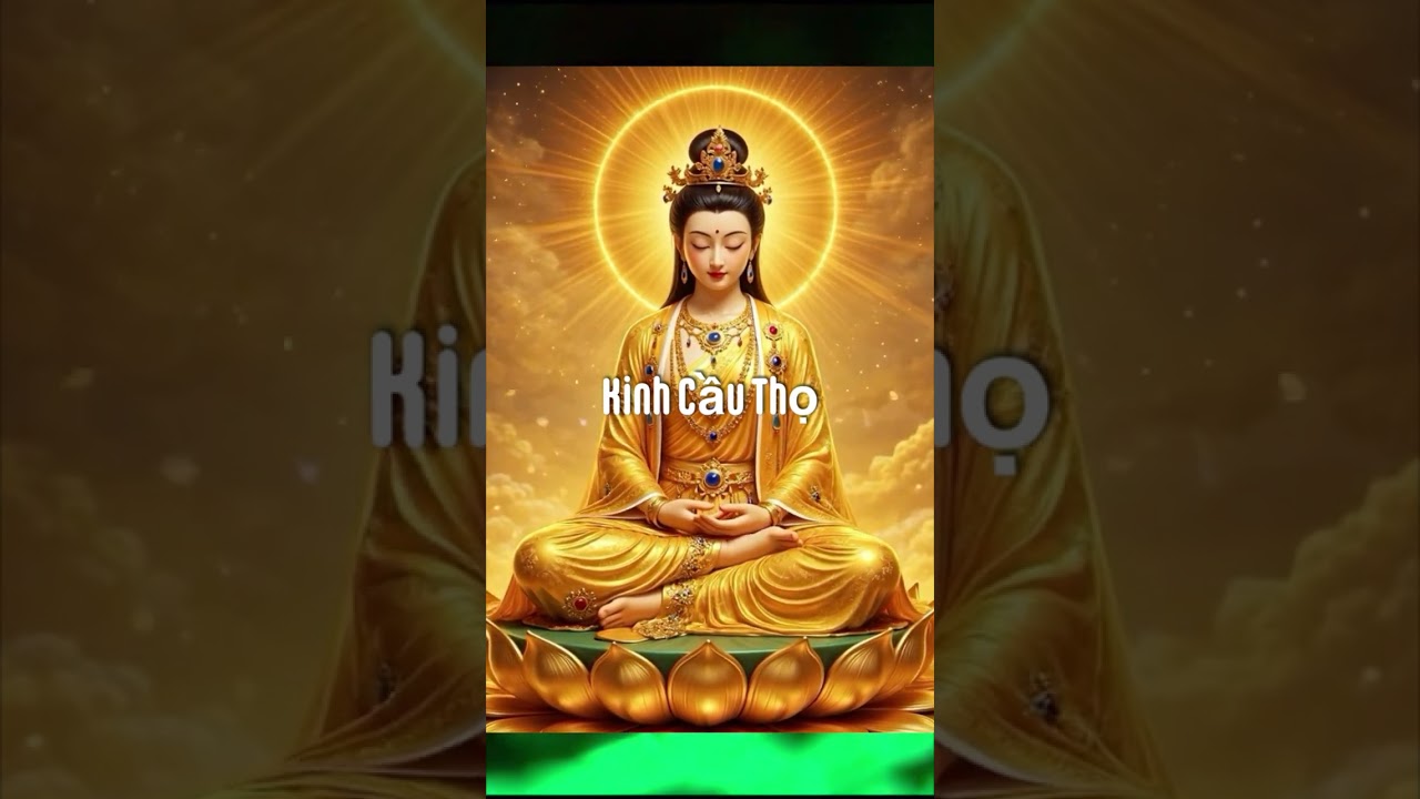 #longta440 Kinh Cầu Thọ Thursday 12/02/2026 Perth