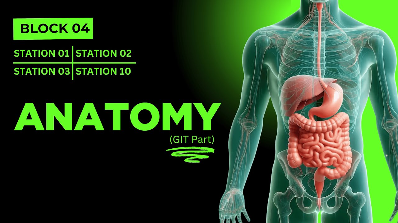 Station 01, 02, 03, 10 | Part 01 | Block 04 | Ultimate OSPE Guide | Dr Awais Haral