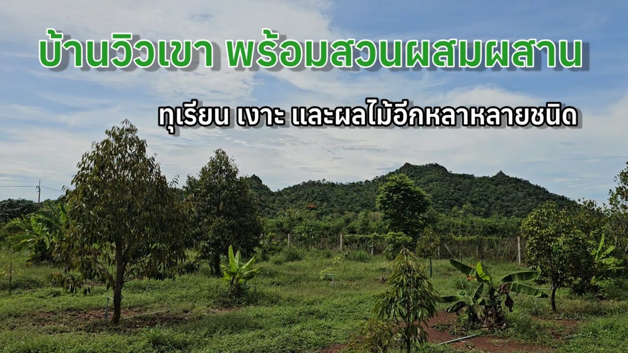 🏡 บ้านวิวเขา พร้อมสวนผสมผสาน ทุเรียน เงาะ พร้อมเจาะบาดาลสำหรับการเกษตร อ.จอมบึง จ.ราชบุรี