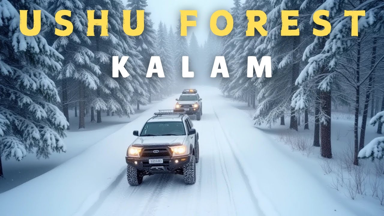 CRAZY SNOW FUN IN USHU FOREST ⛷️|| KALAM SNOW UPDATES || KALAM SWAT