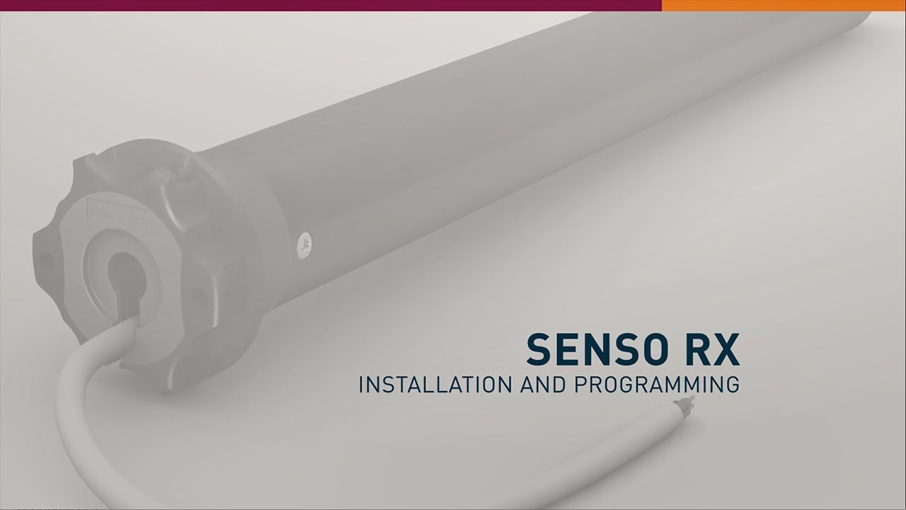 [ENG] SENSO RX
