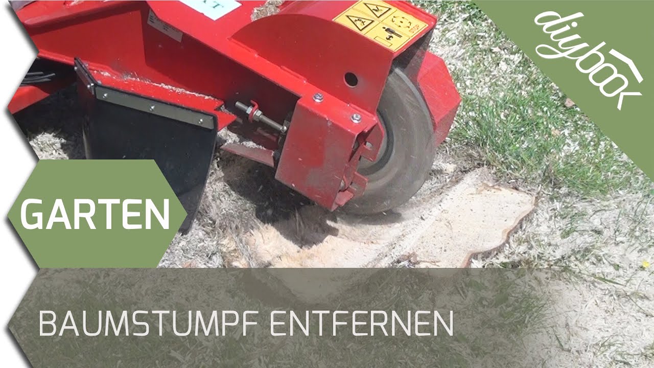 Baumstumpf entfernen - Mit der Baumstumpffr&auml;se zum Erfolg