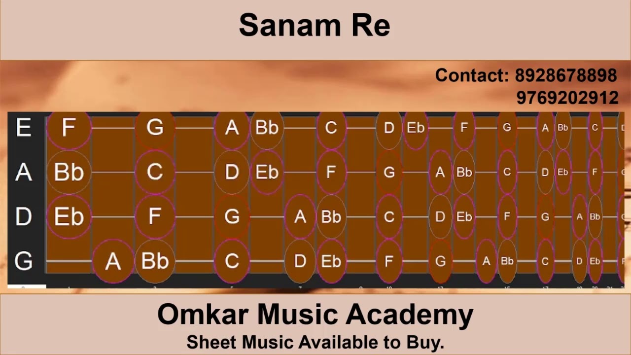 Sanam Re Violin Tutorial