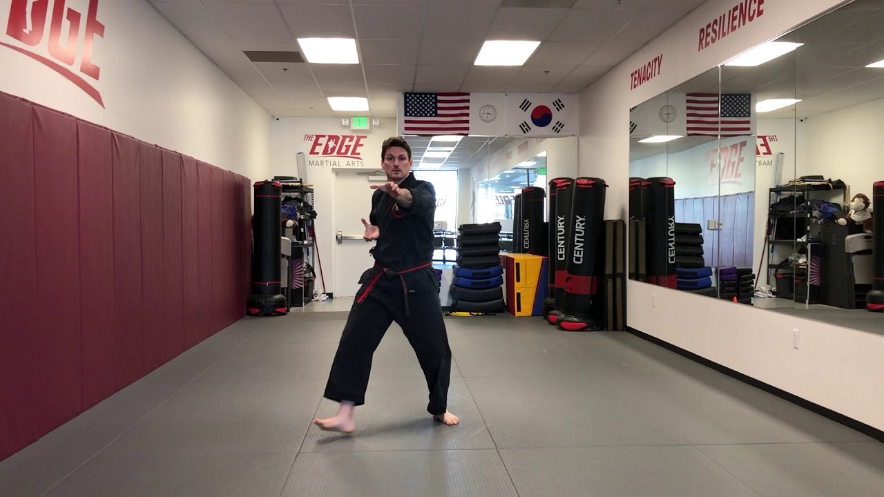 Orange Belt Hand Combo - American Tang Soo Do