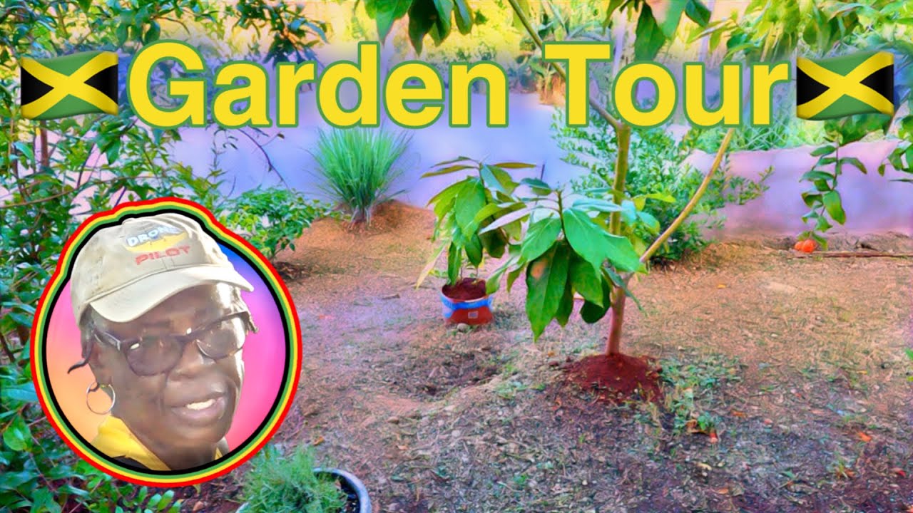 Vlog From The Yard: Discovering Maizie's Spectacular Garden & Master Gardening Techniques