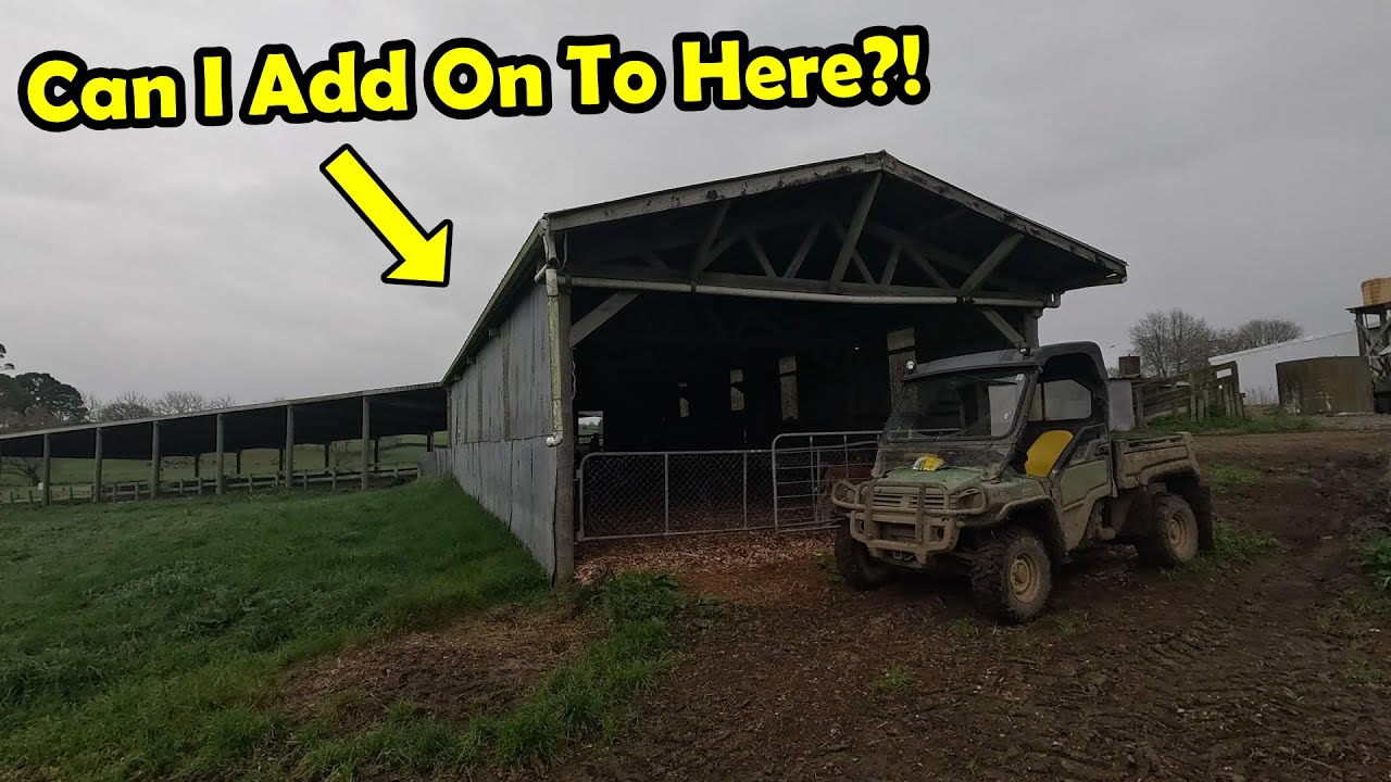 I'm Running Out Of Space...I Need A Bigger Calf Shed! & We’ve Hit The Half Way Mark