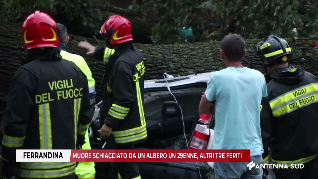 16 AGOSTO 2025   FERRANDINA   MUORE SCHIACCIATO DA UN ALBERO UN 29ENNE, ALTRI TRE FERITI