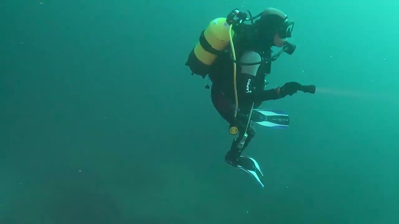 Ayvalık Prodivers Deli Mehmet Dalış Noktası Muhteşem Kırmızı Mercanlar Dev Orfozlar 🤿🐟🪸