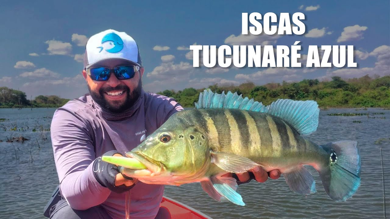 SELEÇÃO DE ISCAS PARA TUCUNARÉ AZUL