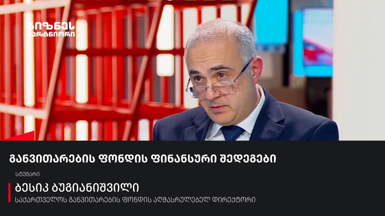 განვითარების ფონდის ფინანსური შედეგები