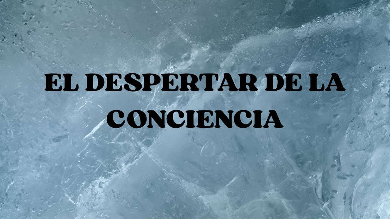 CLASE NUEMERO 3 EL DESPERTAR DE LA CONCIENCIA