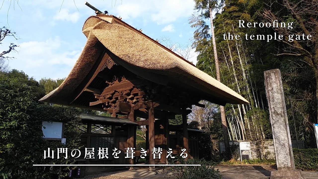 【東京】山門の茅葺き屋根　Reroofing the temple gate in Tokyo