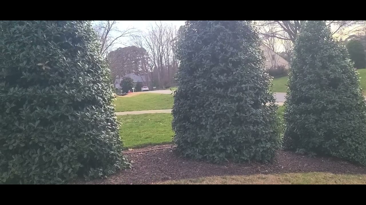 Lawn mower dragging a Golf cart for some reason.