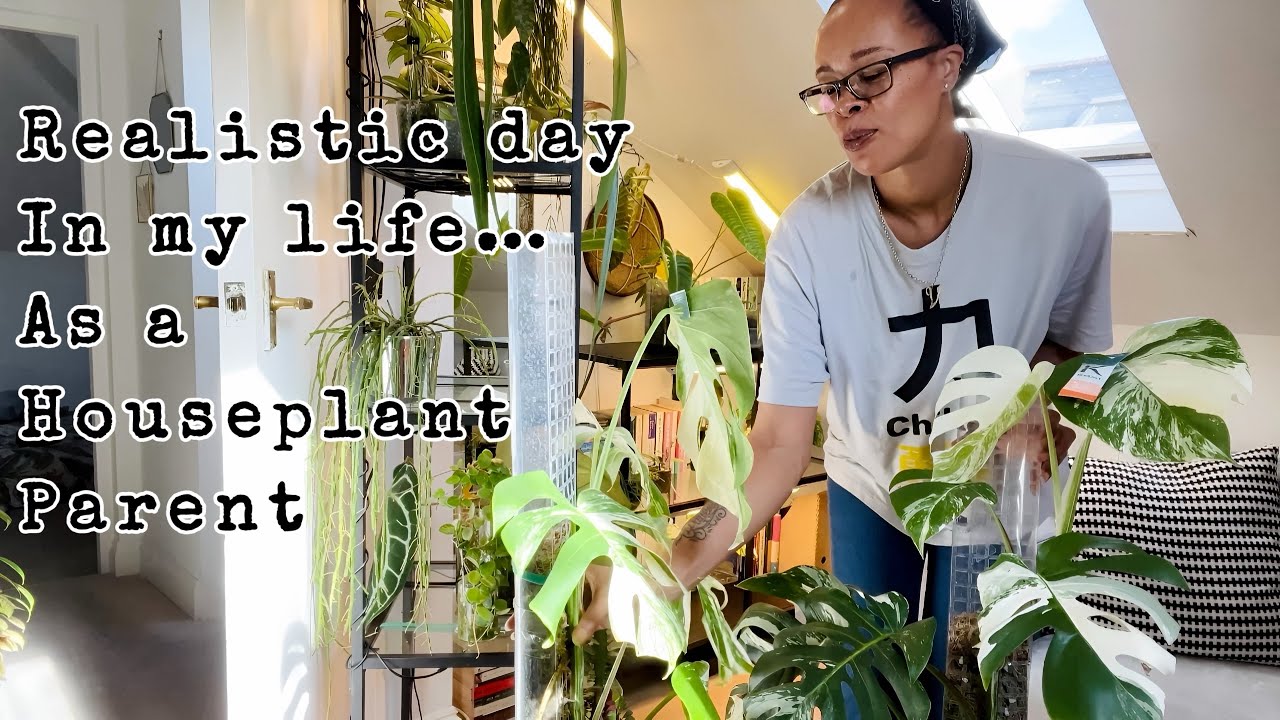Busy Day 🐝 Houseplant Chores 🪴 Watering & Showering Plants 💦  New Humidity Box & More