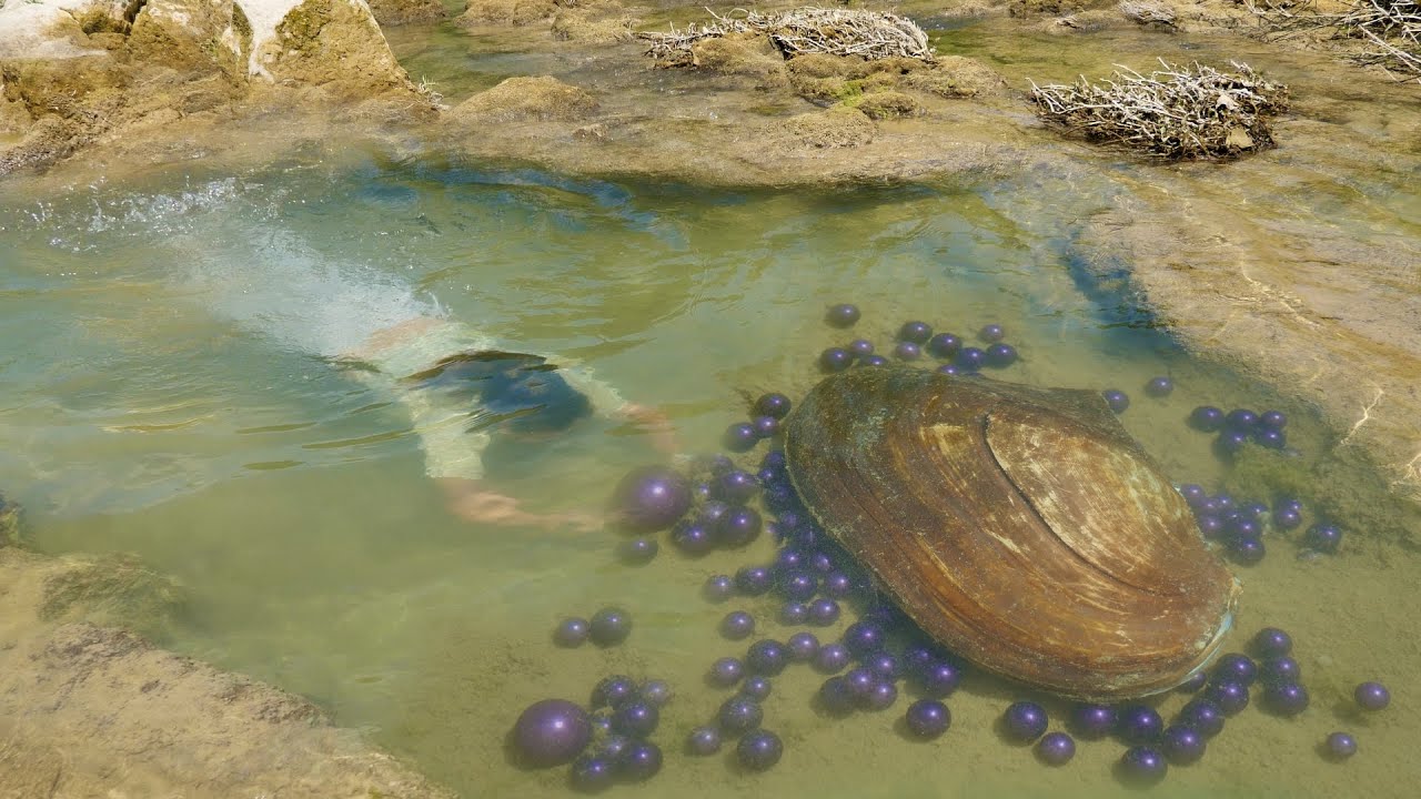 Clams spit out enchanting pearls, and the girl dives into the water to snatch away the largest one