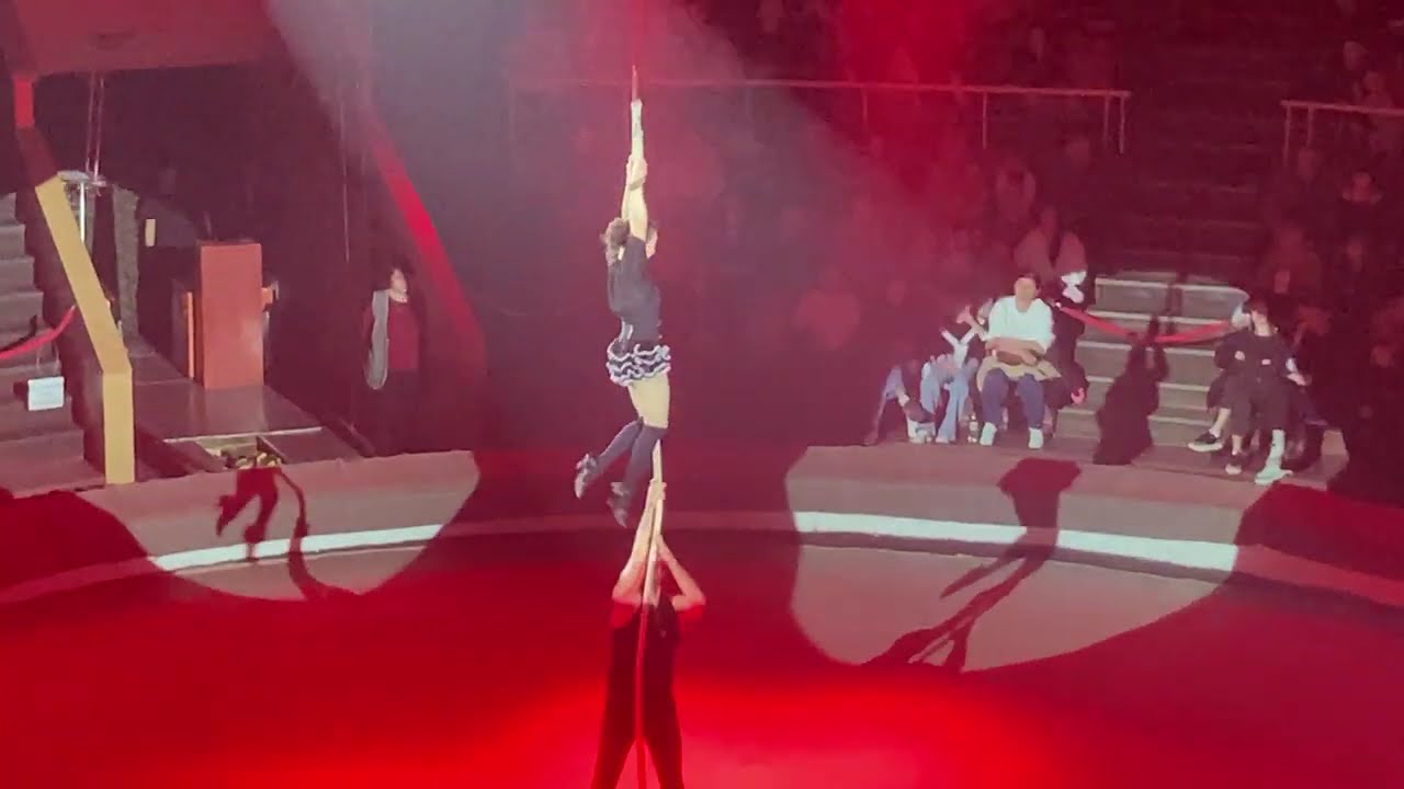 Тот самый цирк в г.Луганске - 8 часть(08.03.26)