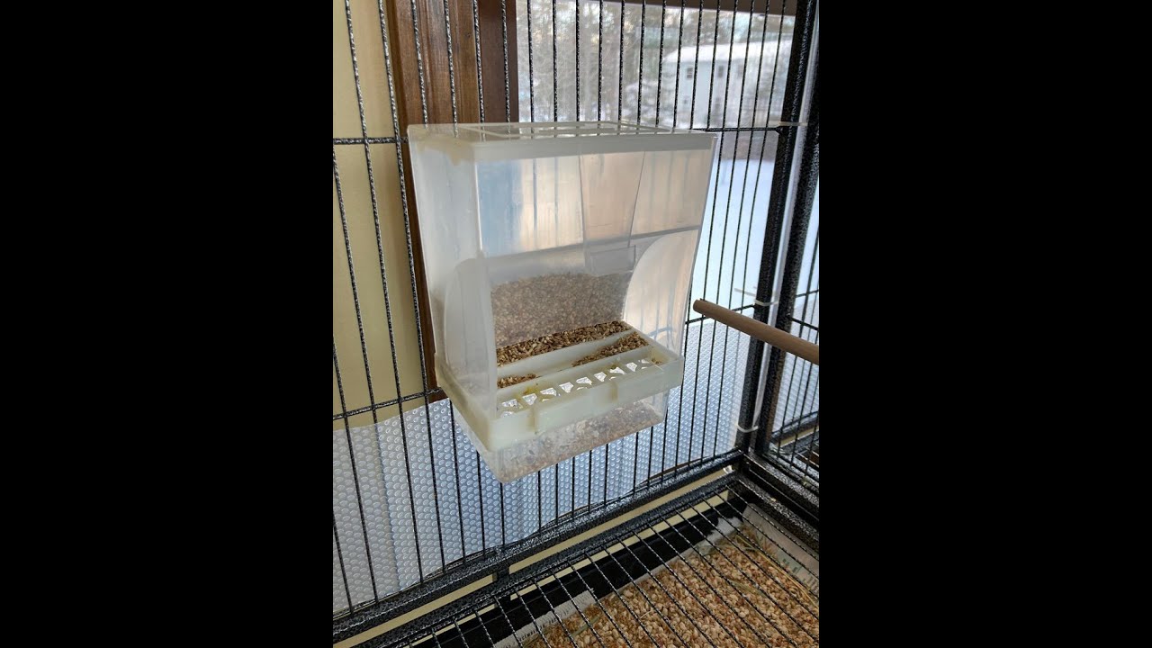 Hopper Feeder Review - No Mess Feeder - Tidy Feeder