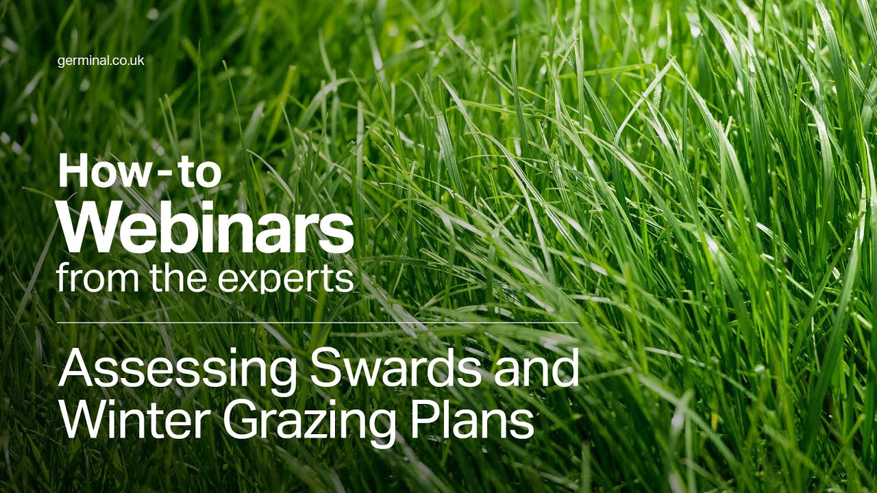 Webinar: Assessing Swards and Winter Grazing &ndash; Grassland Management