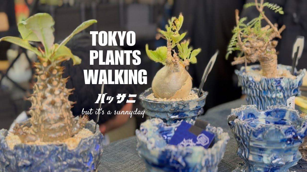 【東京植物散歩】真冬の珍奇植物祭り！ビザールプランツ冬ノ陣で見つけた驚きの植物たちをレポート！