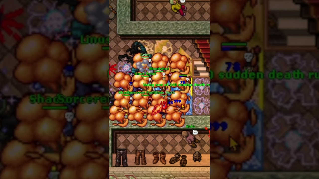 #gaming #tibiagame #pvp #tibiagirls #tibiagameplay #tibia2025 #mmorpg  #tibiaaddicts #tibia #cipsoft