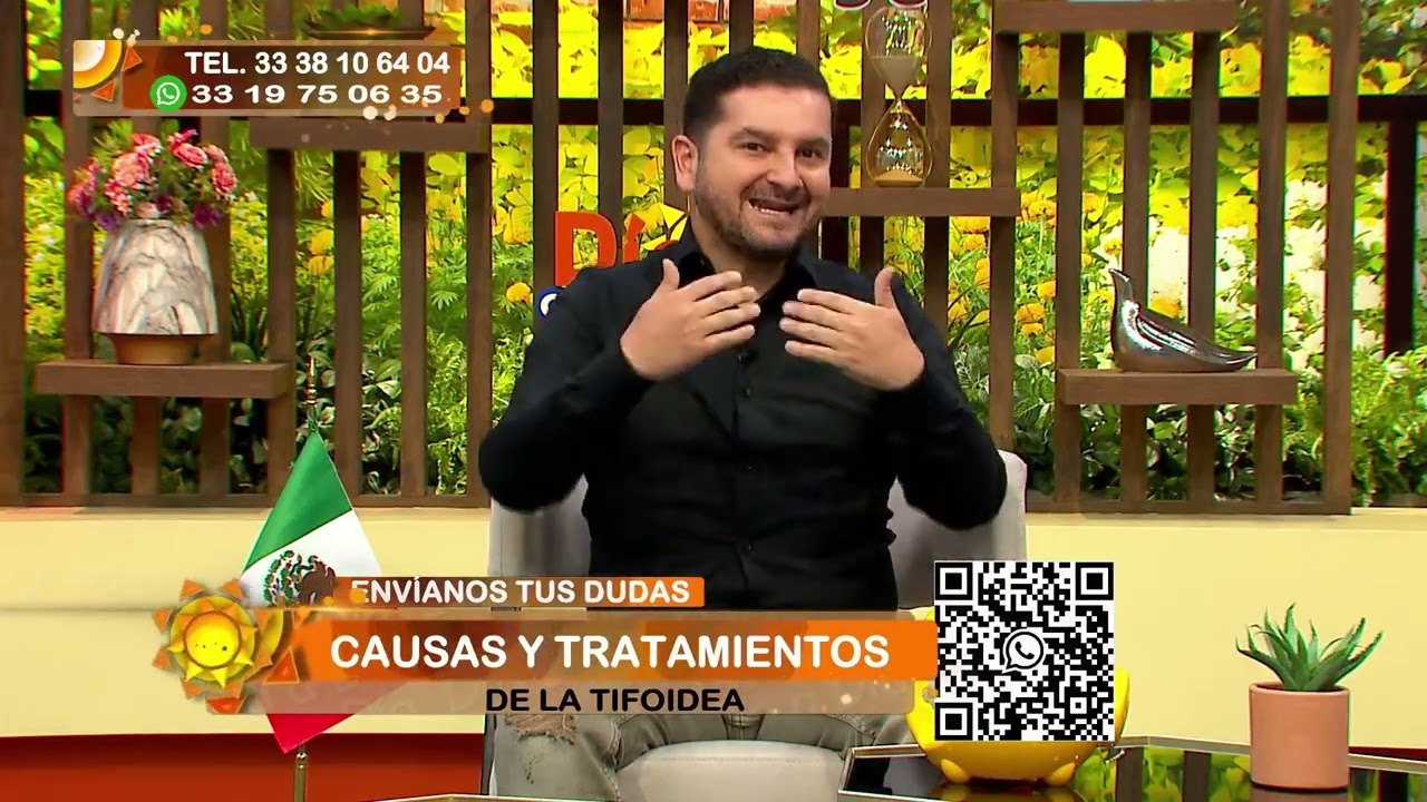 Causas y tratamiento de la tifoidea - Día a Día