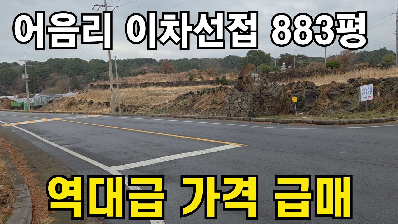 제주시 애월읍 어음리 이차선접 883평 급매 010 4436 0401 #제주도 부동산 토지 매매 #급매물
