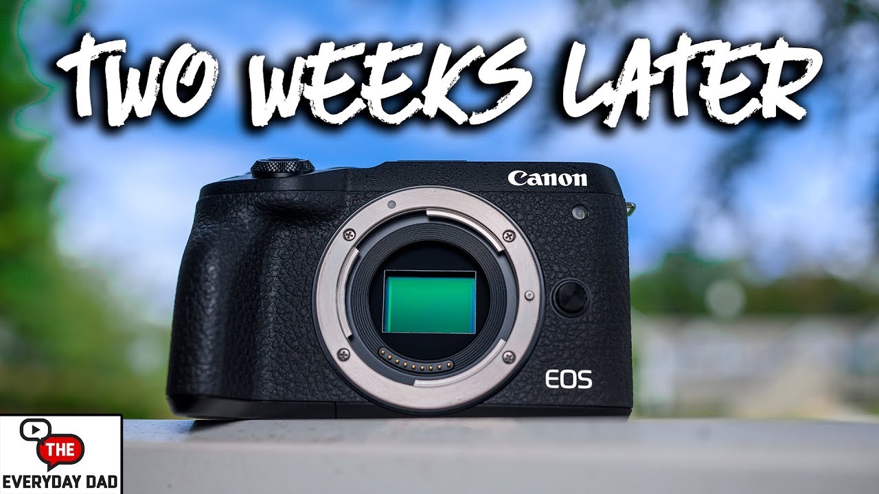 Стоит ли покупать Canon M6 Mark II? Обзор спустя две недели!