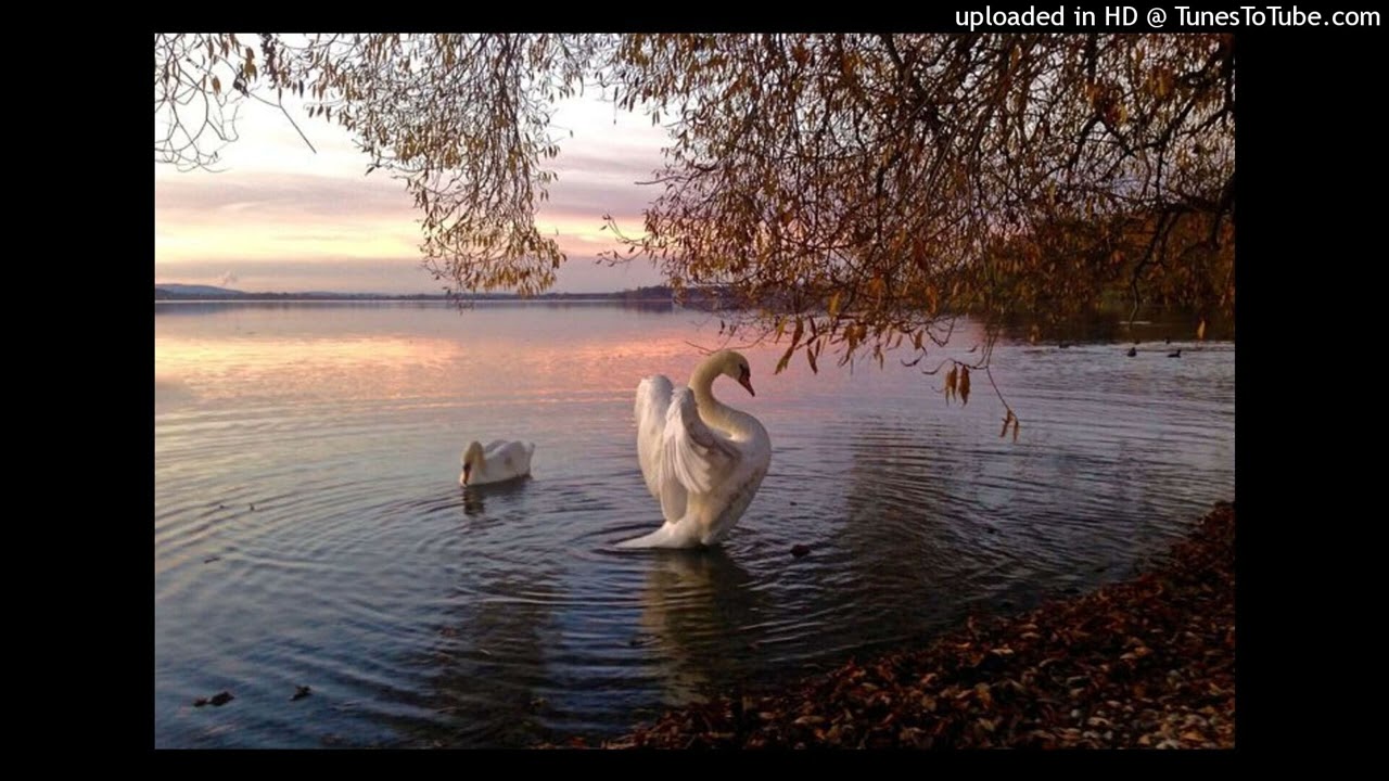 untiljapan + tana type beat 