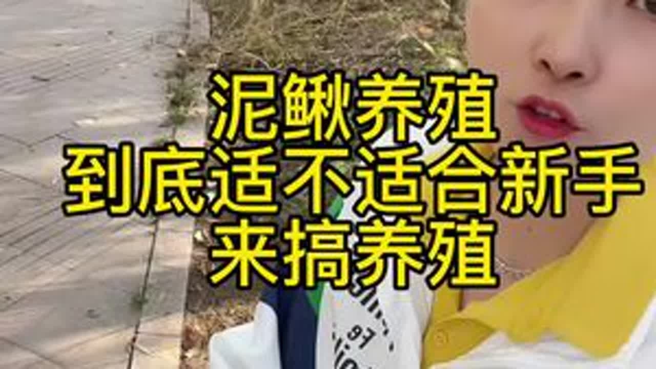 #泥鳅养殖 泥鳅养殖到底适不适合新手来搞养殖？作为一个搞泥鳅养殖10年的从业者，这个视频我告诉大家！！！#水产养殖 #抖音助农 @DOU+小助手