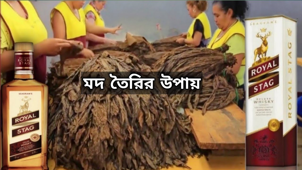 এইভাবে তৈরি হয় রয়েল স্টার মদ I royal stag whiskey making in factory I Royal Stag I মদ তৈরির পদ্বতি