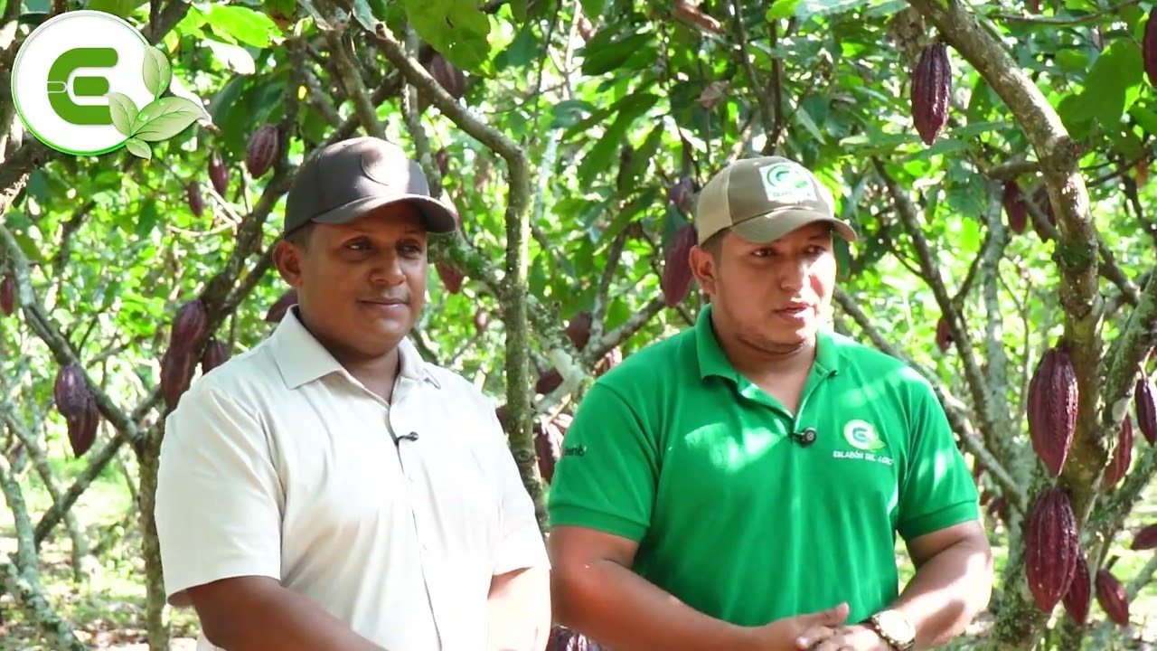 ENTREVISTA AL ING.  ELVIS BARRAGAN