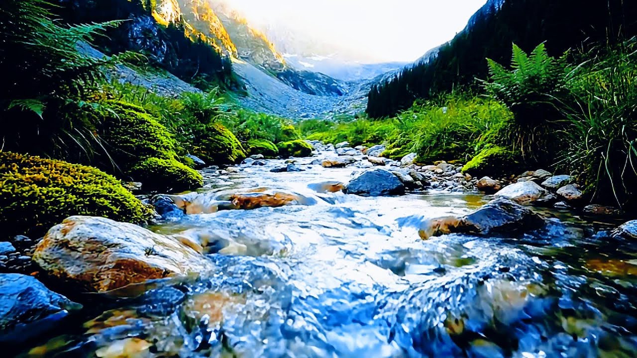 Relaxing Nature Sounds for Sleep, Forest Sounds, Beautiful Birds Singing,Relax, Study, Meditate,