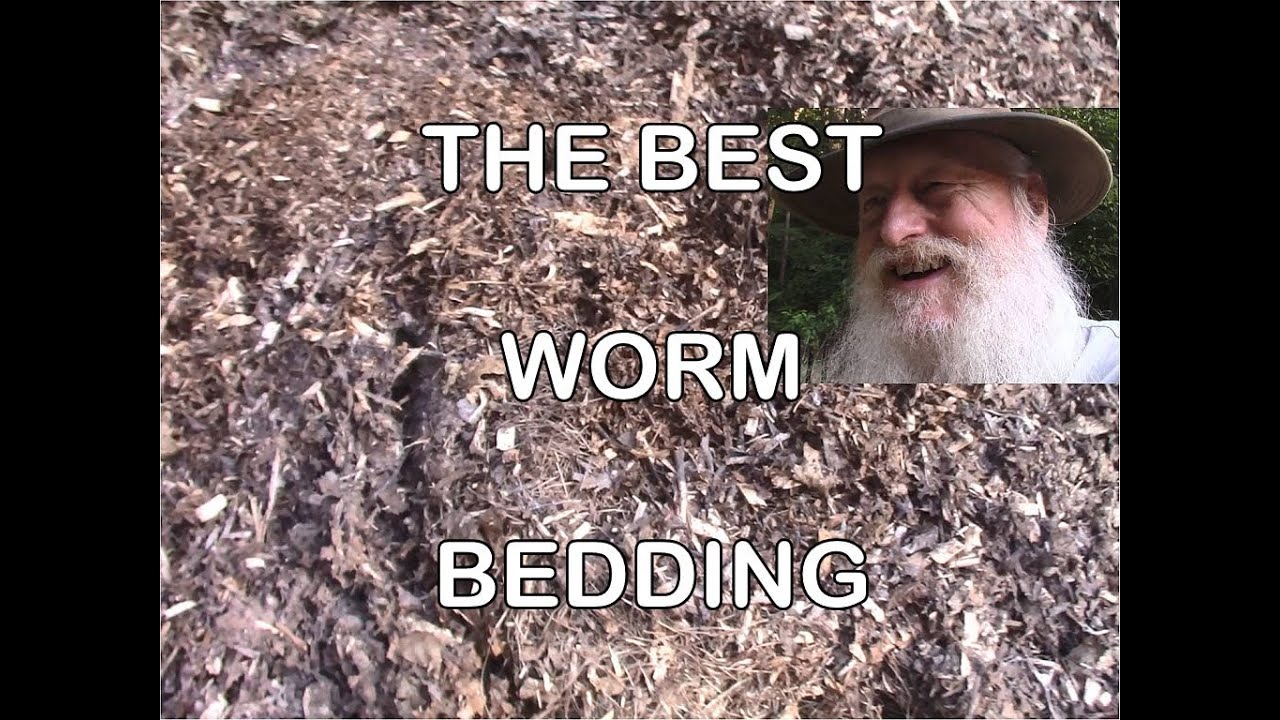 The Single Best Worm Bedding