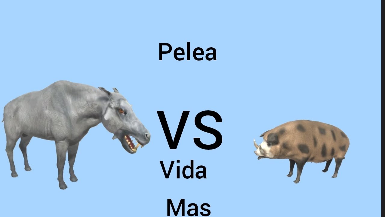Daeodon vs jabalí
